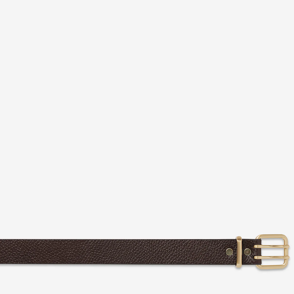 Barely Moving Belt - Choc/Gold - Image 5