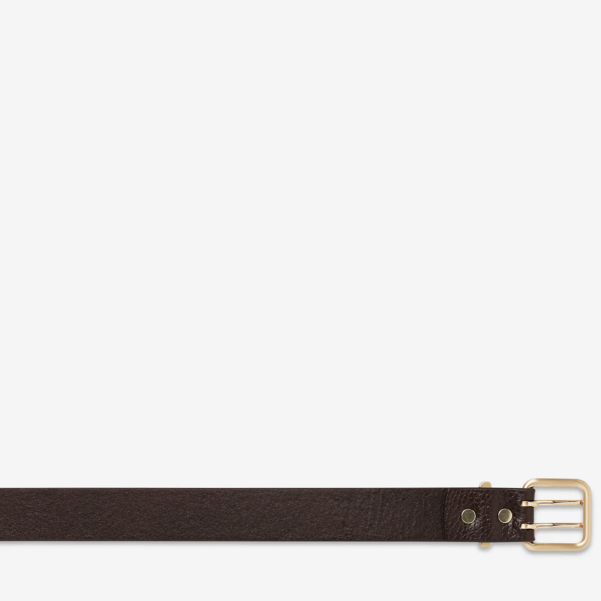 Barely Moving Belt - Choc/Gold - Image 6