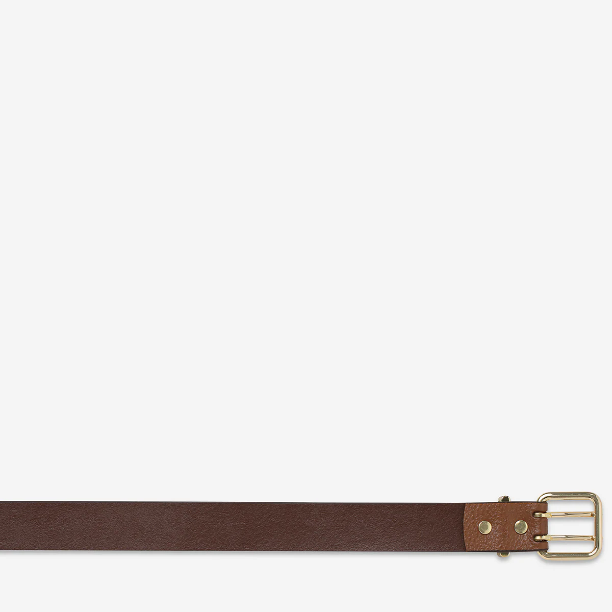 Barely Moving Belt - Tan/Gold - Image 6