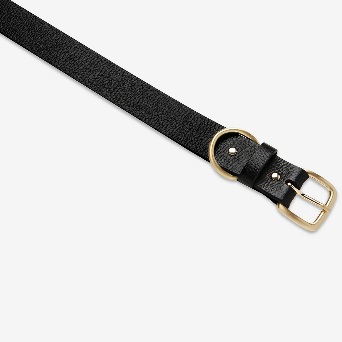 Disarm Belt - Black/Gold - Image 4