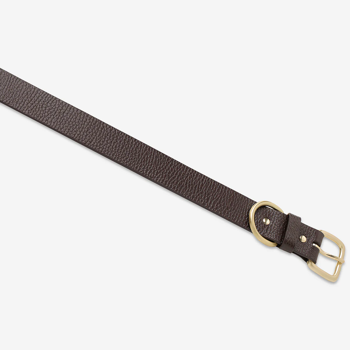 Disarm Belt - Choc/Gold - Image 4