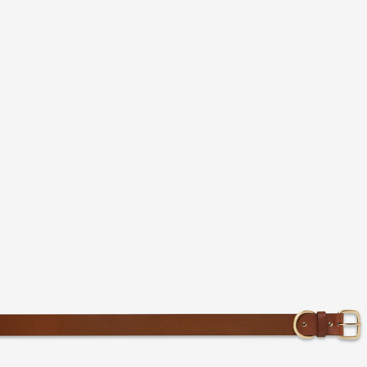 Disarm Belt - Tan/Gold - Image 5