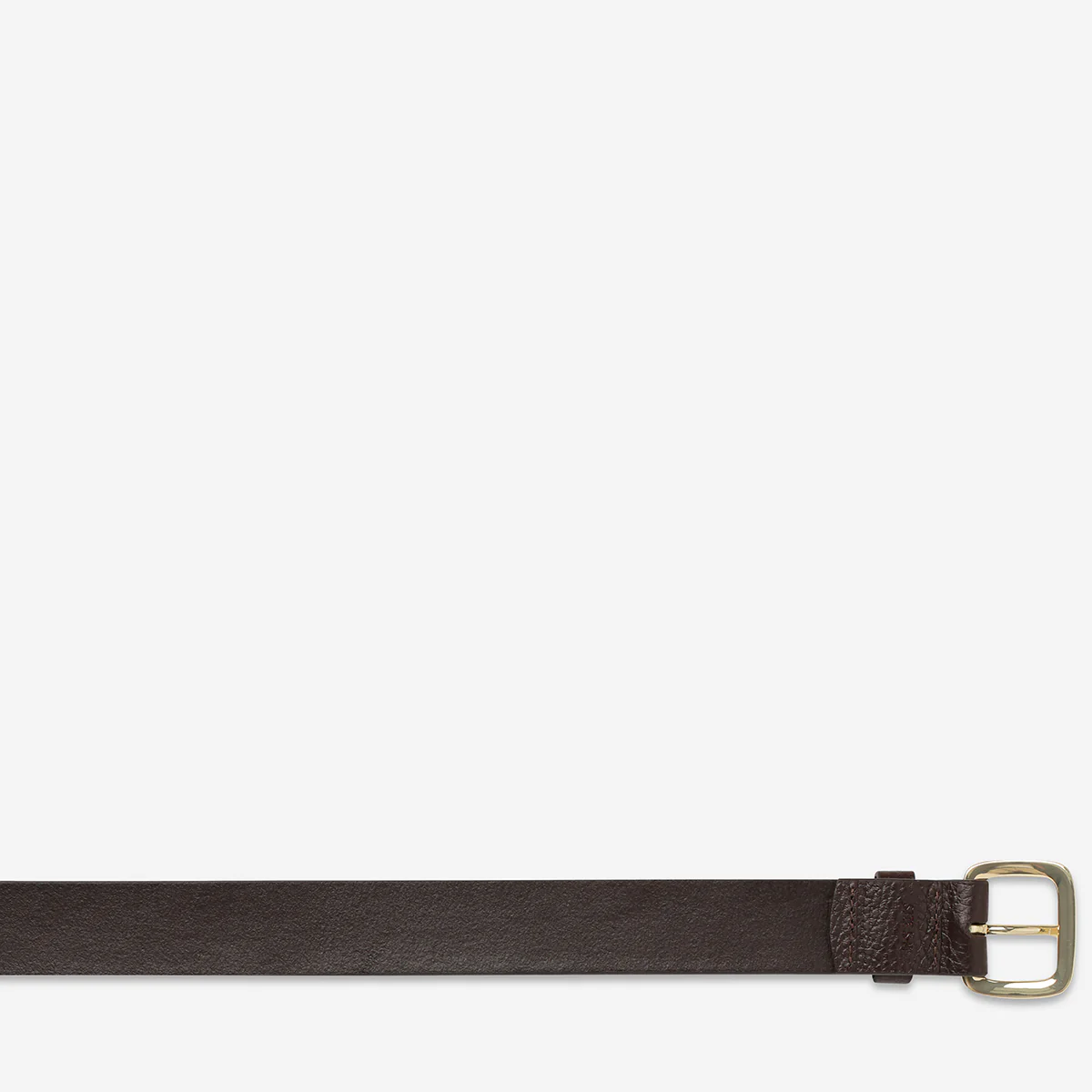 Ease Up Belt - Choc/Gold - Image 6