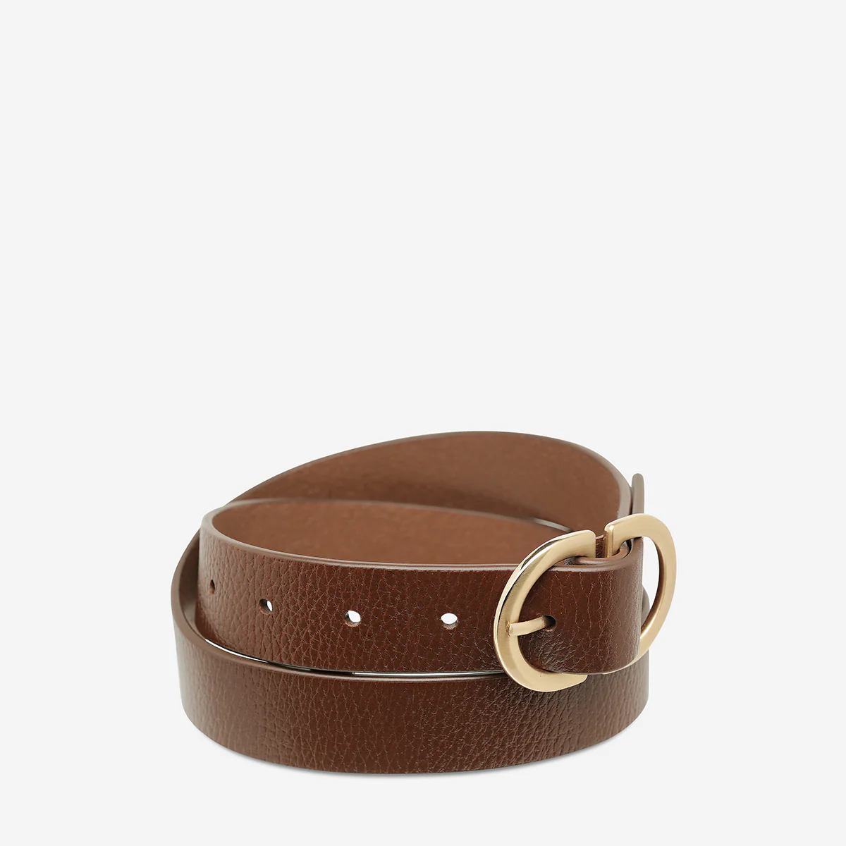 In Reverse Belt - Tan/Gold - Image 3