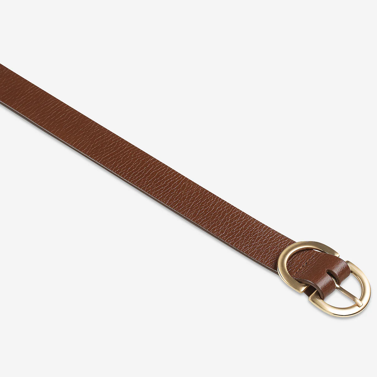 In Reverse Belt - Tan/Gold - Image 4