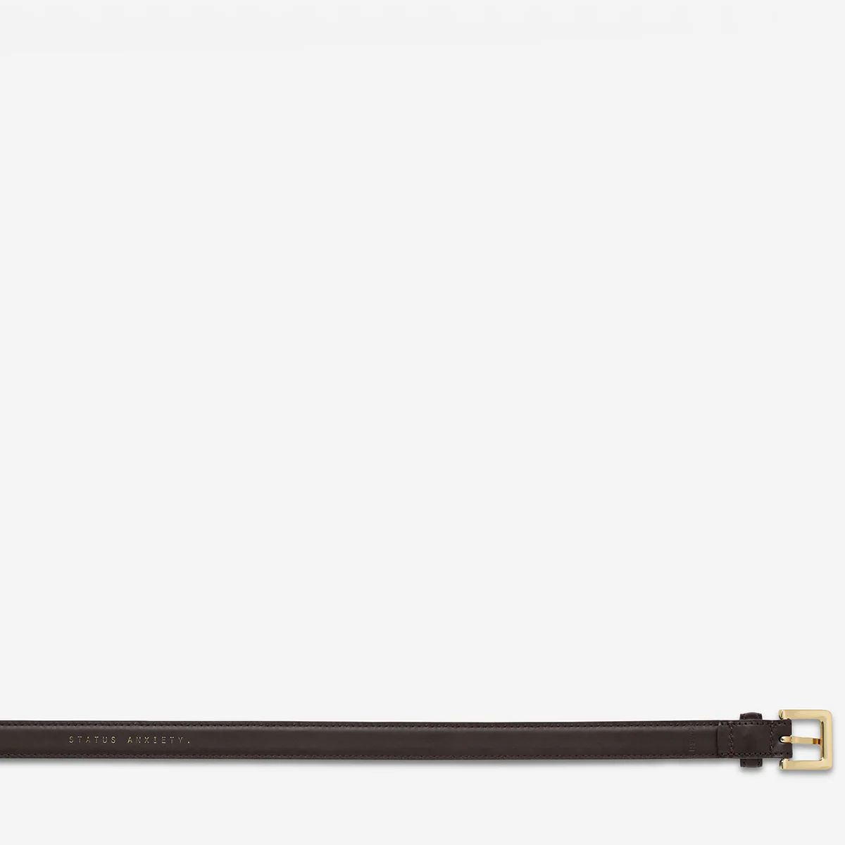 In Your Eyes Belt - Choc Nappa/Gold - Image 6