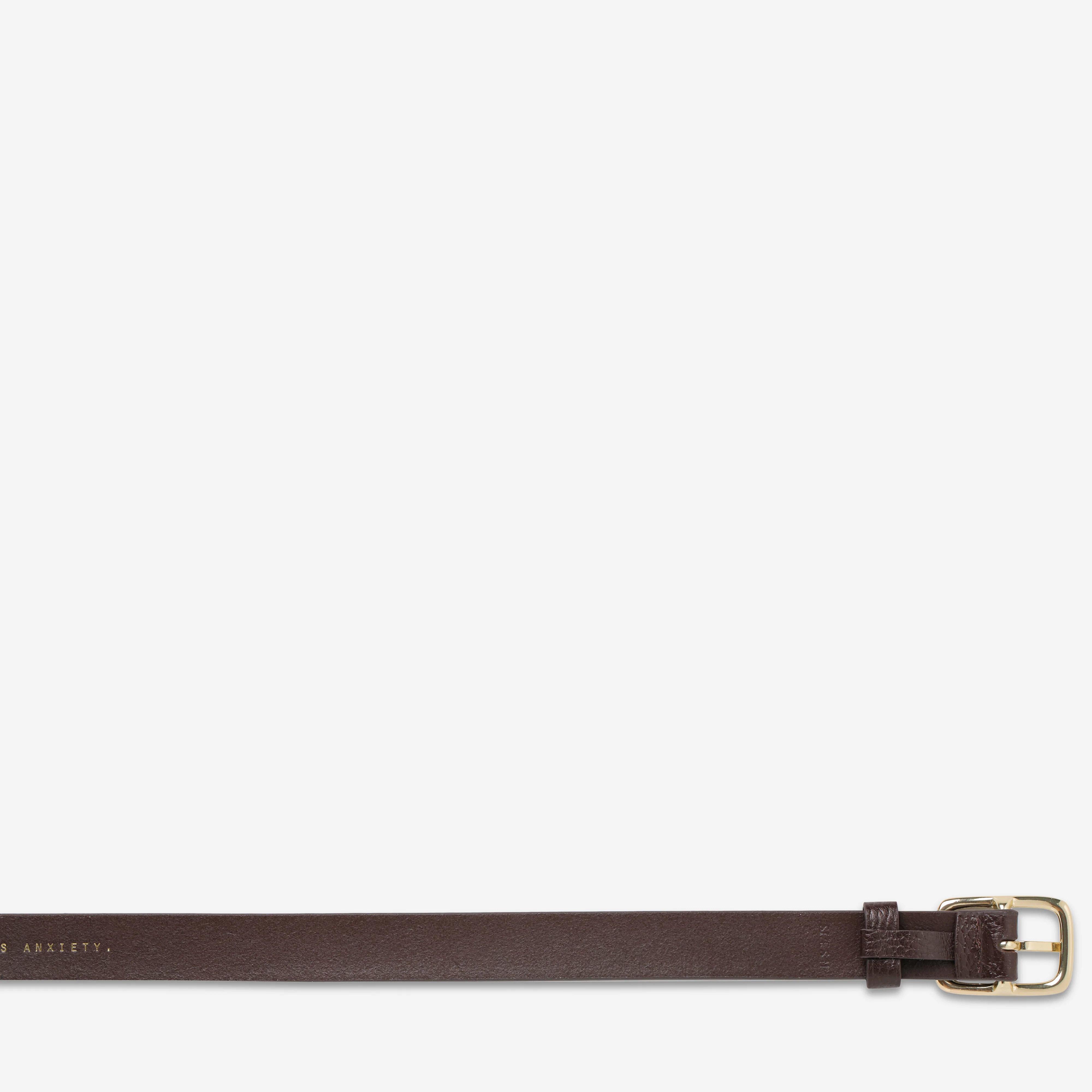 Nobody's Fault Belt - Choc/Gold - Image 6
